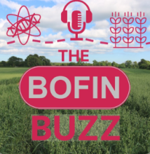 The BOFIN Buzz Logo